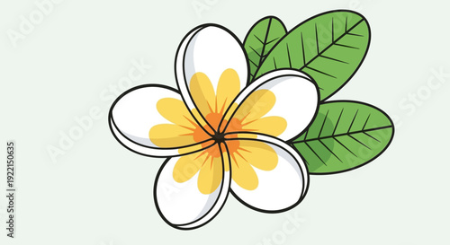Cartoon Plumeria Flower with Green Leaves White Petals and Yellow Center.