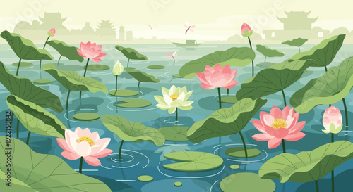 Serene Lotus Pond with Pink and White Blooms.