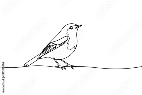 Continuous line drawing of a small bird standing on a line, isolated black and white graphic illustration, concept for minimalist logo design, nature conservation and artistic tattoo motifs.