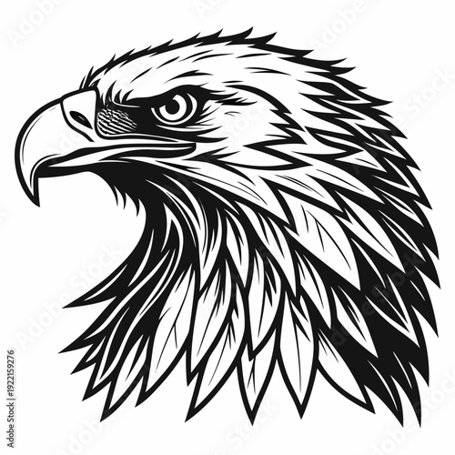 eagle vector illustration