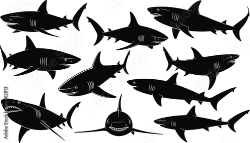Shark silhouettes set marine predator flat vector illustration isolated on white background ocean wildlife clipart collection bundle design