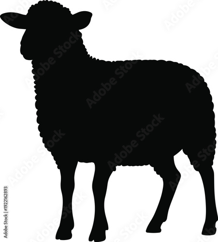 Sheep silhouette farm animal wool flat vector illustration isolated on white background livestock clipart mascot logo design template