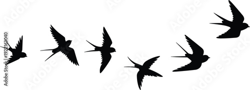 Swallow bird silhouette set, flying swift birds, spring migration flock, nature wildlife clipart, isolated design, flat vector illustration