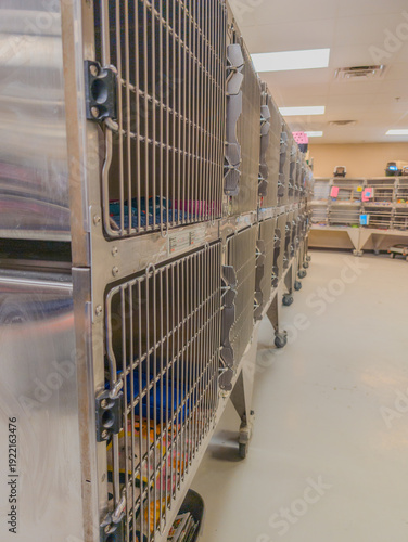 Row of animal cages in a shelter during the day showing several pets waiting for adoption and care