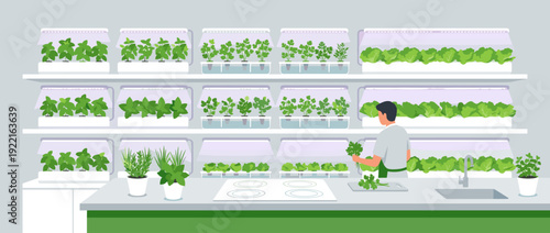 Flat vector illustration of a modern indoor hydroponic herb garden in a kitchen with LED grow lights. A person harvests fresh organic herbs like basil and lettuce from a vertical farming system.