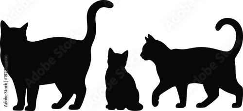 Black cat silhouette set featuring standing, sitting, and walking poses, perfect for pet design, animal artwork, feline behavior, and decorative projects