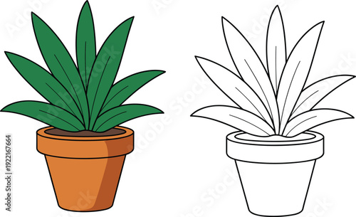 Color and outline potted plant illustration with long pointed leaves, perfect for nature, gardening, home decor, education, coloring activity, and design projects