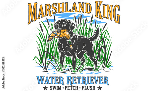 Marshland King Water Retriever: Labrador dog with duck in marsh, vintage style hunting illustration for t-shirt, poster, sticker. Swim, fetch, flush a