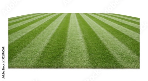 Freshly mown green grass field with alternating light and dark stripes, creating a perspective effect, isolated on a white background, suitable for sports or outdoor themes.