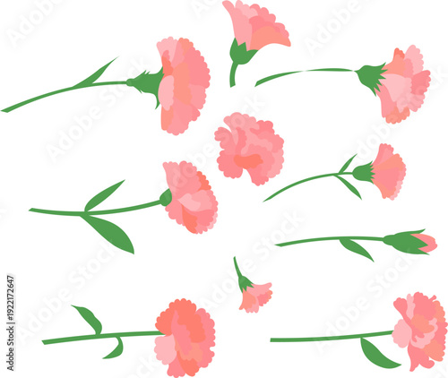 やさしいピンク色のカーネーションを様々な角度で配置した母の日向けフラワーイラストセット｜手描き風の柔らかな花びら表現が特徴の春の花素材集