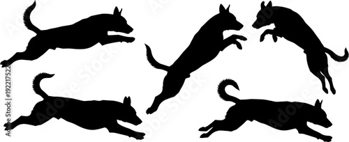 Dog silhouettes jumping running poses collection, active canine movement, black dog silhouette isolated illustration set design