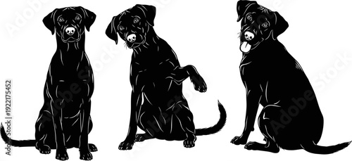 Dog silhouettes sitting poses collection, cute pet puppy design, black dog silhouette isolated illustration set design