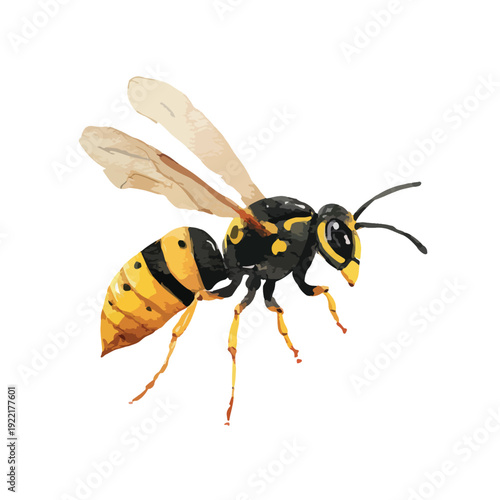Vibrant Wasp Insect Vector Illustration 1.