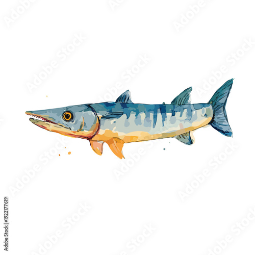 Vibrant Watercolor Barracuda Fish Illustration Isolated.