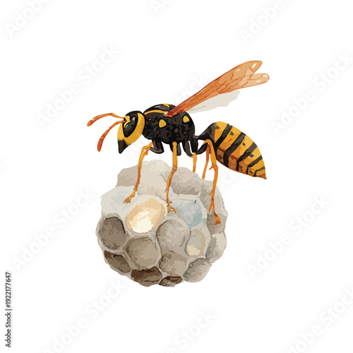 Vibrant Wasp on Paper Nest Vector Illustration.