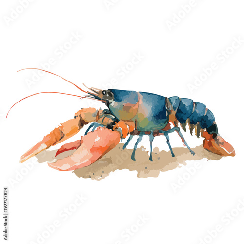 Vibrant Watercolor Crayfish Illustration on White Background.