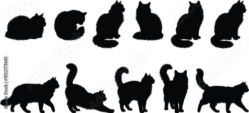 Cat silhouettes collection featuring sitting, walking, stretching and fluffy domestic feline poses isolated on white background, black vector illustration set for pet design