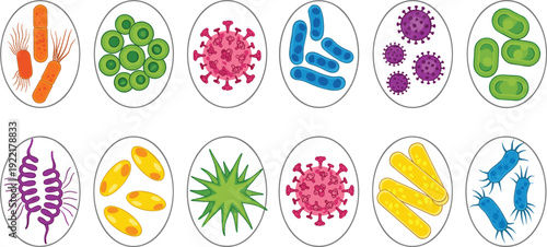 Microbiology identification master grid with 15 diverse pathogen layouts