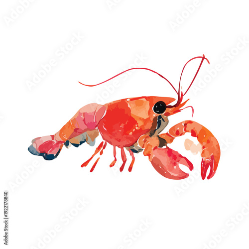 Vibrant Watercolor Lobster Illustration Fresh Seafood Art for Culinary Design.