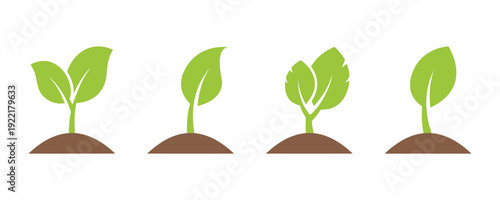 Green plant sprouts growing from brown soil in different stages