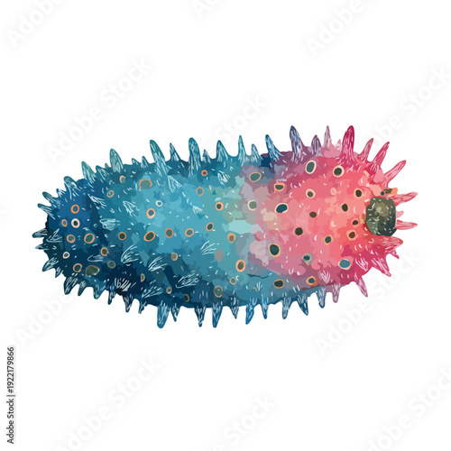 Vibrant Watercolor Sea Cucumber Illustration.