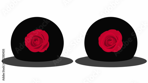 Two black berets with red roses on white background