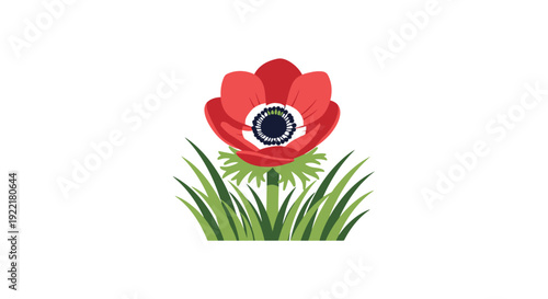 Red poppy flower with green grass