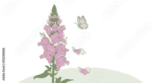 Pink stock flower with butterfly and petals falling on light hill