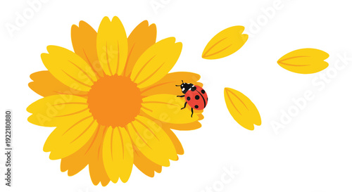 Daisy-like yellow flower with ladybug on petal cluster