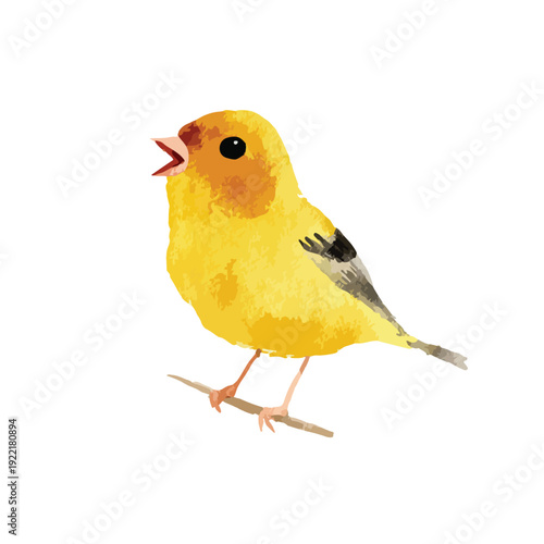 Vibrant Yellow Bird Singing Watercolor Illustration.
