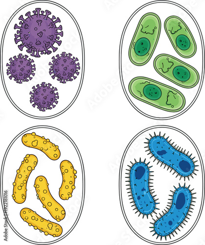 Microbiology set with four types of colorful virus and bacteria colonies vector