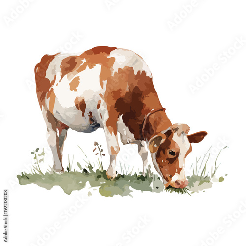 Watercolor Cow Grazing Farm Animal Illustration.