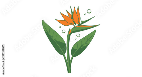 Orange Flower with Green Leaves in Modern Botanical Style