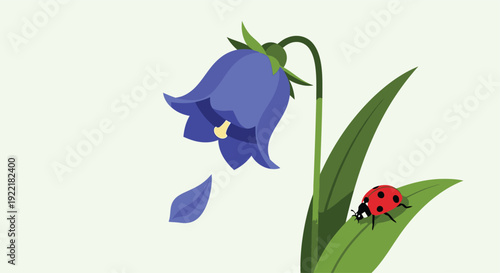 Bluebell flower with ladybug on green stem and leaves in natural setting