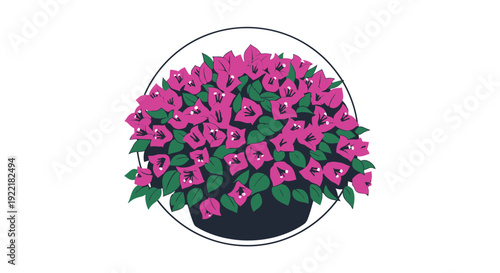 Pink Bougainvillea Flowers in Round Pot