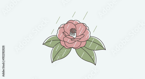 Pink Camellia Flower with Green Leaves in Rainy Scene