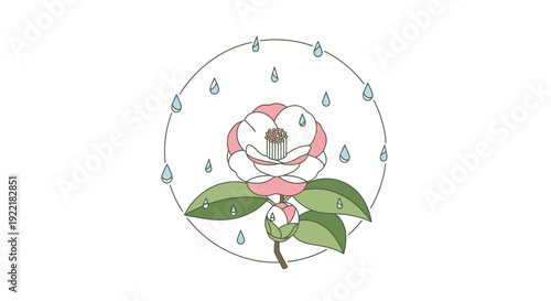 Cotton bloom flower with leaves inside circular frame and raindrops