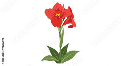 Red iris flower with green stem and leaves