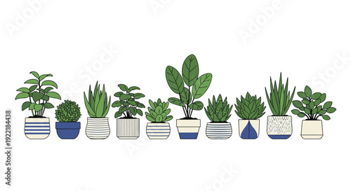 Long row of diverse indoor houseplants in stylishly patterned blue and white ceramic pots creates an elegant botanical display.