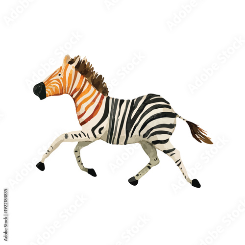 Watercolor Running Zebra Illustration.