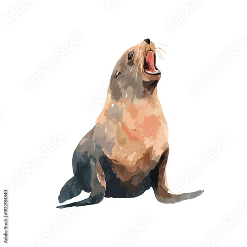 Watercolor Sea Lion Roaring Illustration Marine Animal Art.