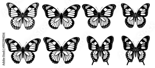 Butterfly line art icon collection. Includes various butterfly shapes and wing patterns. Created in black and white outline style with a monochrome palette.