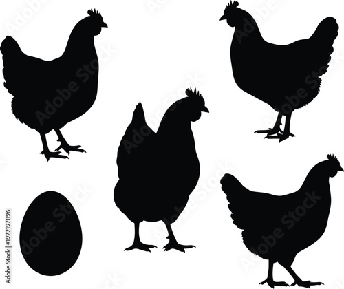 Silhouettes of chickens and an egg on a white background