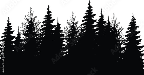 WebDense forest silhouette illustration, coniferous pine and fir trees, natural landscape skyline, wilderness environment design, outdoor nature theme, flat vector illustration