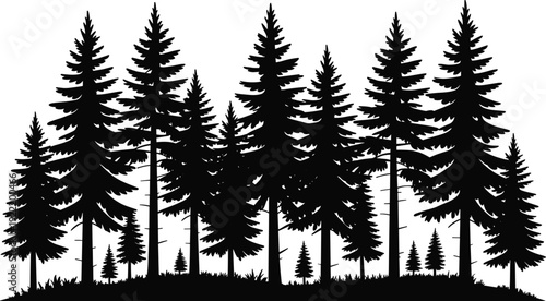 WebDense forest silhouette illustration, coniferous pine and fir trees, natural landscape skyline, wilderness environment design, outdoor nature theme, grassy ground, flat vector artwork