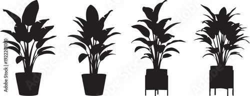 Four black silhouettes of potted plants with varying leaf shapes and pot styles on a white background