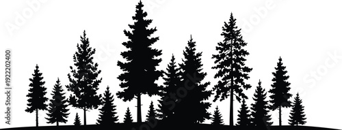 WebForest silhouette illustration, coniferous pine trees, natural landscape skyline, wilderness environment design, environmental theme art, flat vector illustration