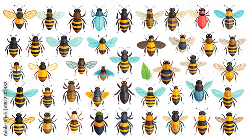 Bumblebee and Honey Bee Flat Vector Collection for Garden Education and Nature Conservation