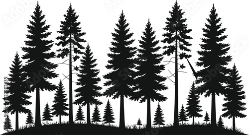 WebForest silhouette illustration, coniferous pine trees, natural landscape skyline, wilderness environment design, outdoor nature theme, grassy hill, flat vector artwork