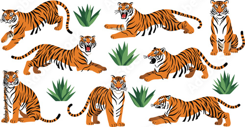 Cartoon tiger illustration set with multiple dynamic poses including walking sitting jumping and roaring characters with jungle plants for wildlife themed design projects